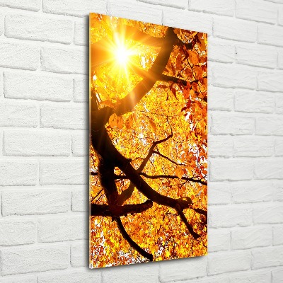 Tableau sur verre acrylique Arbre d'automne