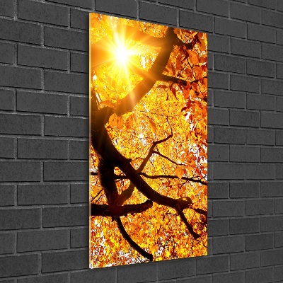 Tableau sur verre acrylique Arbre d'automne