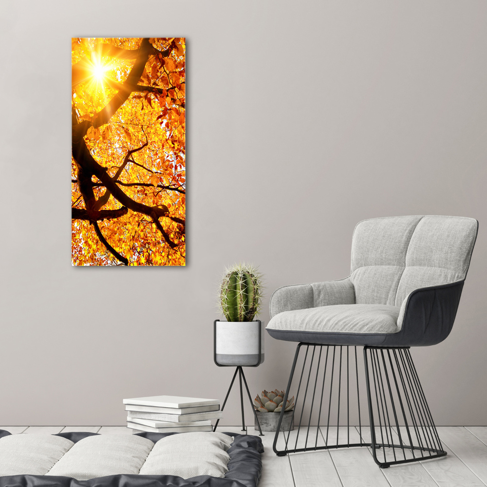 Tableau sur verre acrylique Arbre d'automne