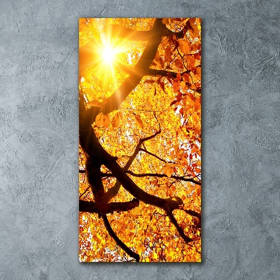 Tableau sur verre acrylique Arbre d'automne