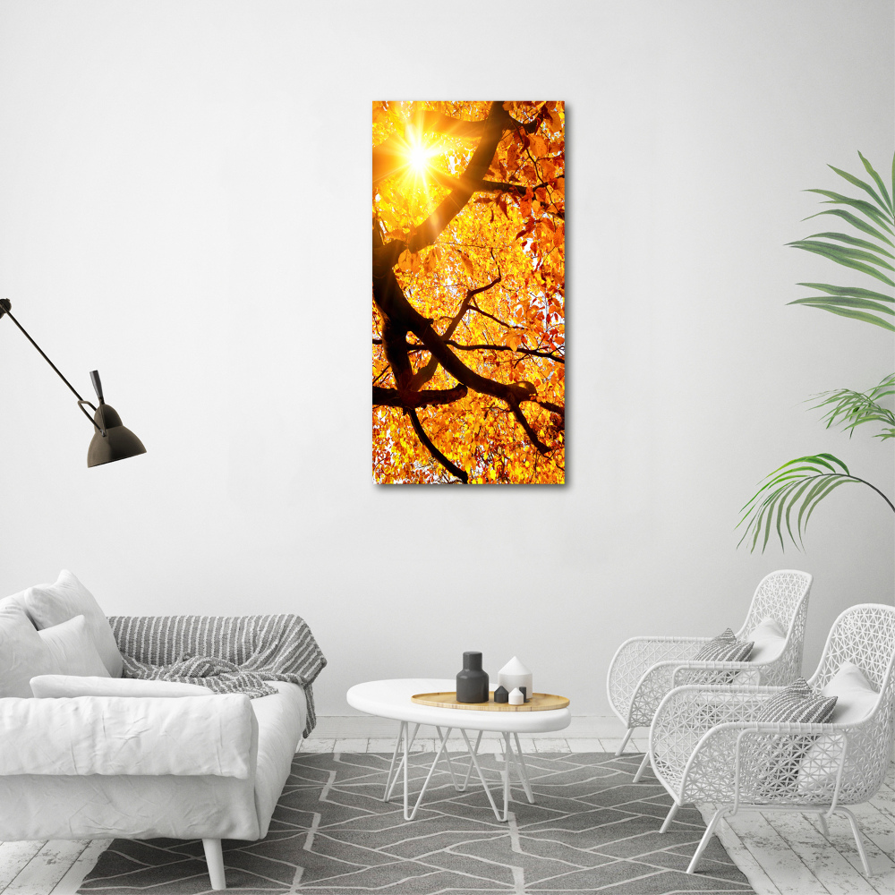 Tableau sur verre acrylique Arbre d'automne