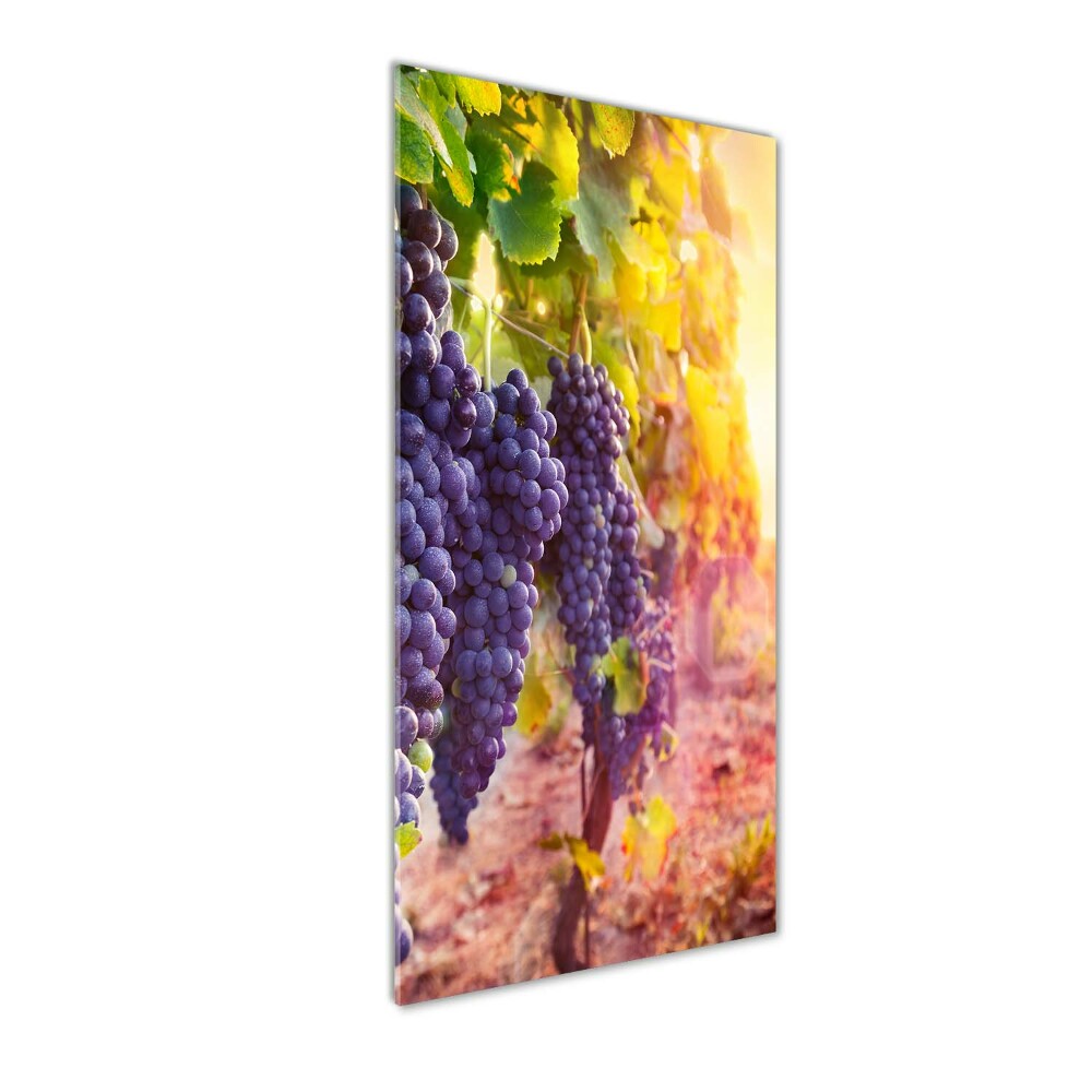 Tableau acrylique Vignoble