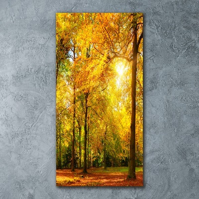 Tableau verre acrylique Forêt en automne