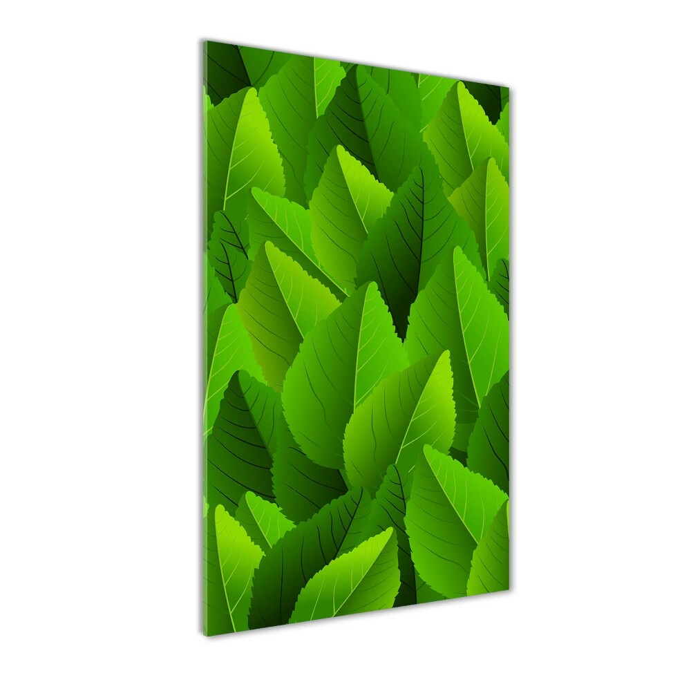 Tableau verre acrylique Feuille verte