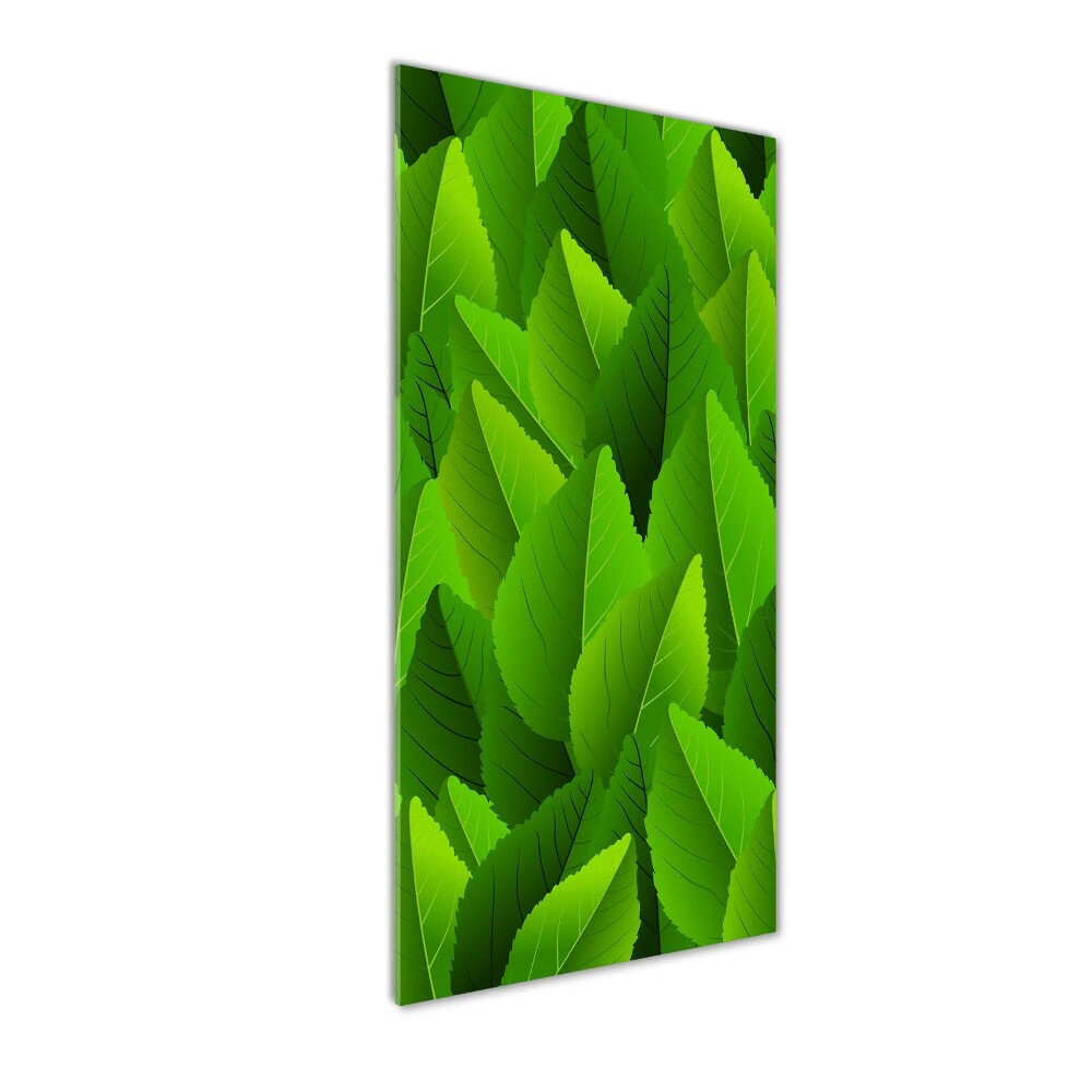 Tableau verre acrylique Feuille verte