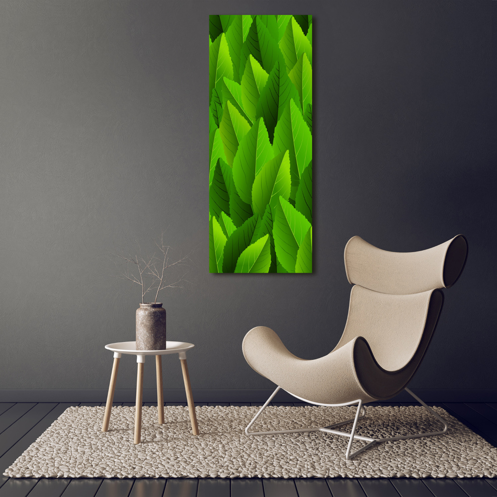 Tableau verre acrylique Feuille verte