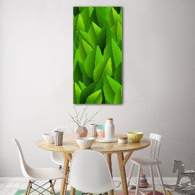 Tableau verre acrylique Feuille verte