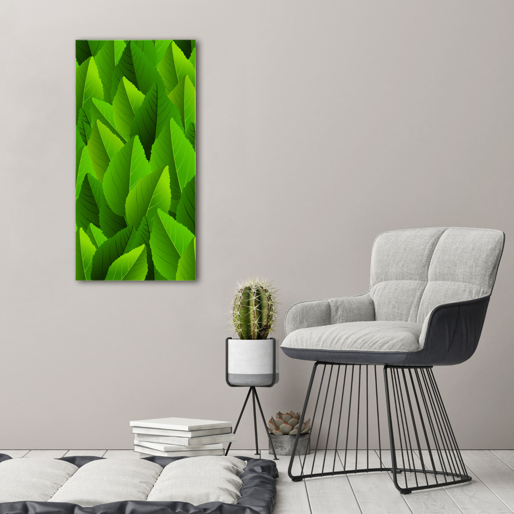 Tableau verre acrylique Feuille verte