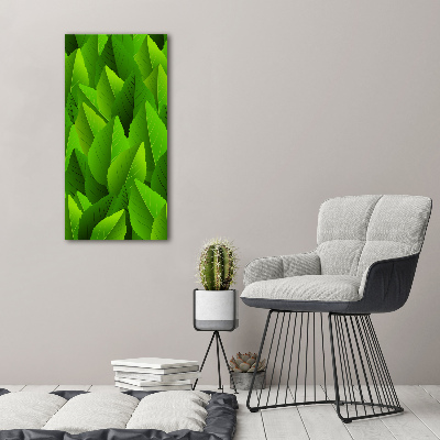 Tableau verre acrylique Feuille verte