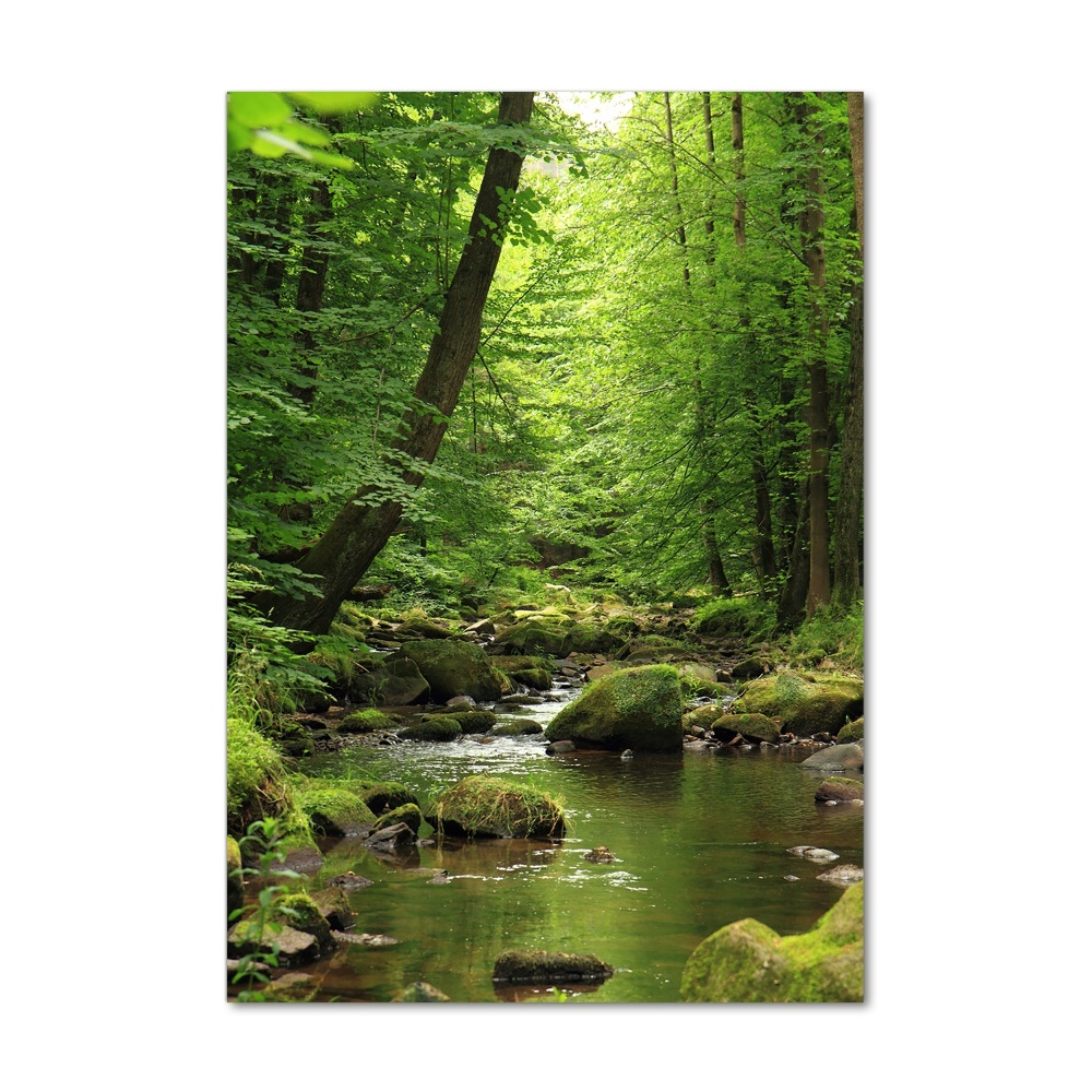 Acrylique tableau Rivière dans la forêt