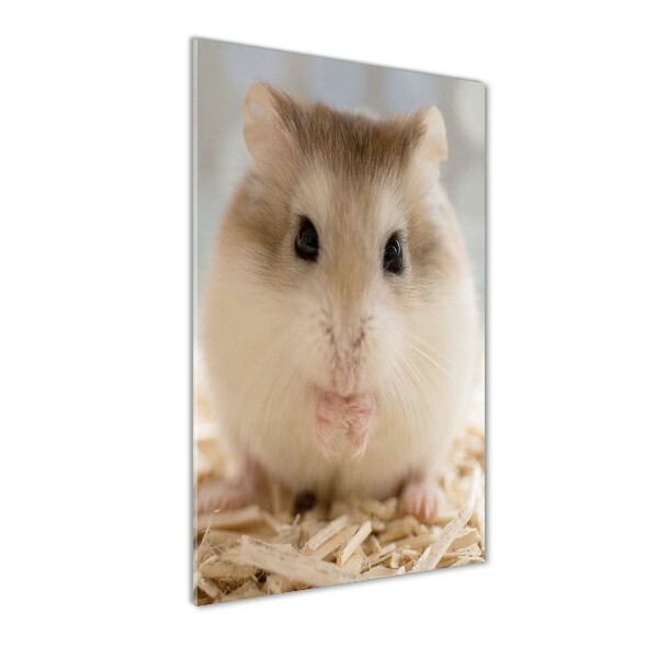 Hamster