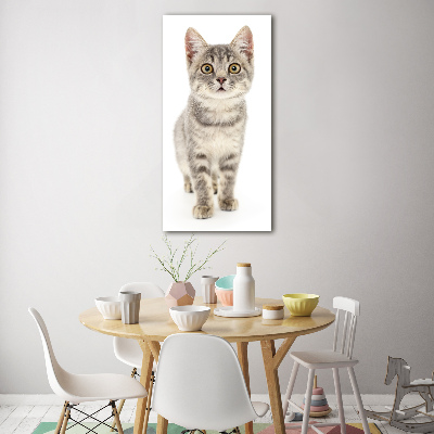 Tableau verre acrylique Chat gris