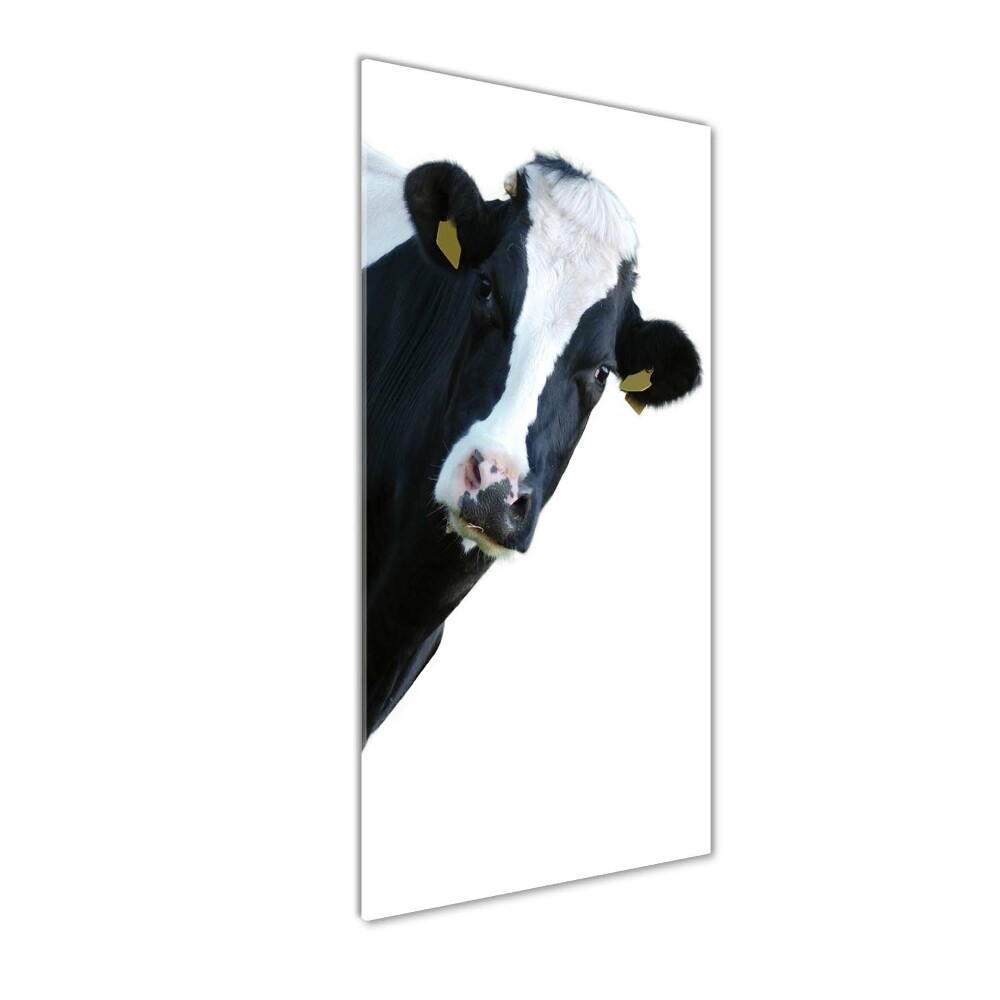 Acrylique tableau Vache latine