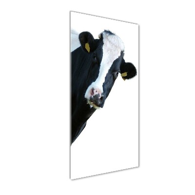 Acrylique tableau Vache latine