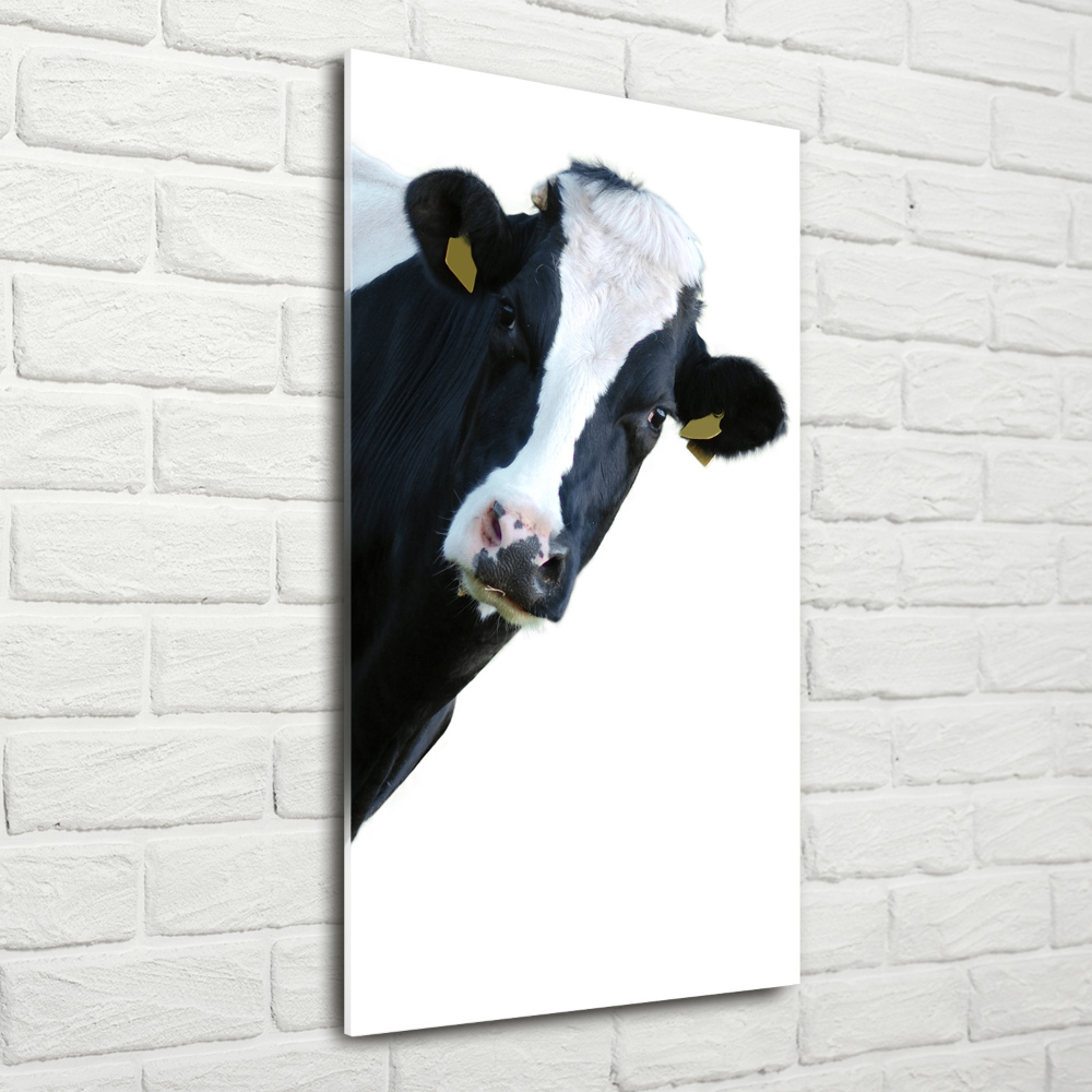 Acrylique tableau Vache latine