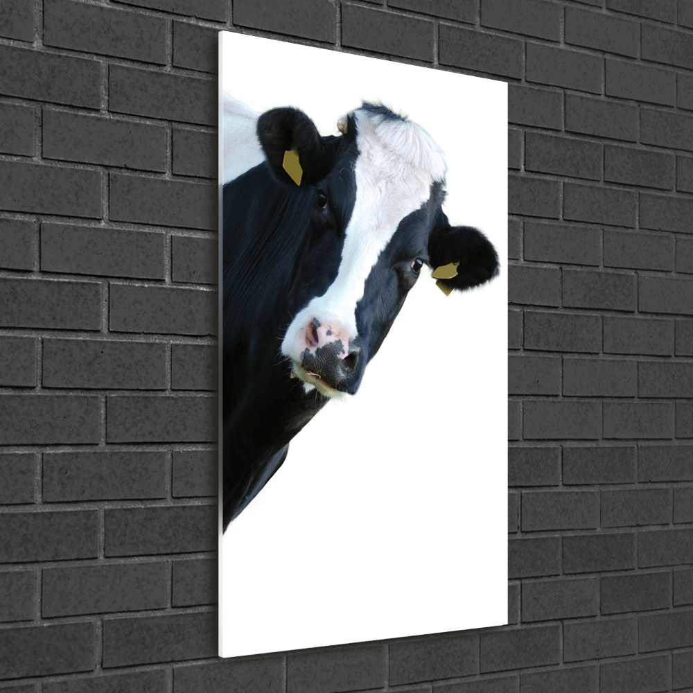 Acrylique tableau Vache latine