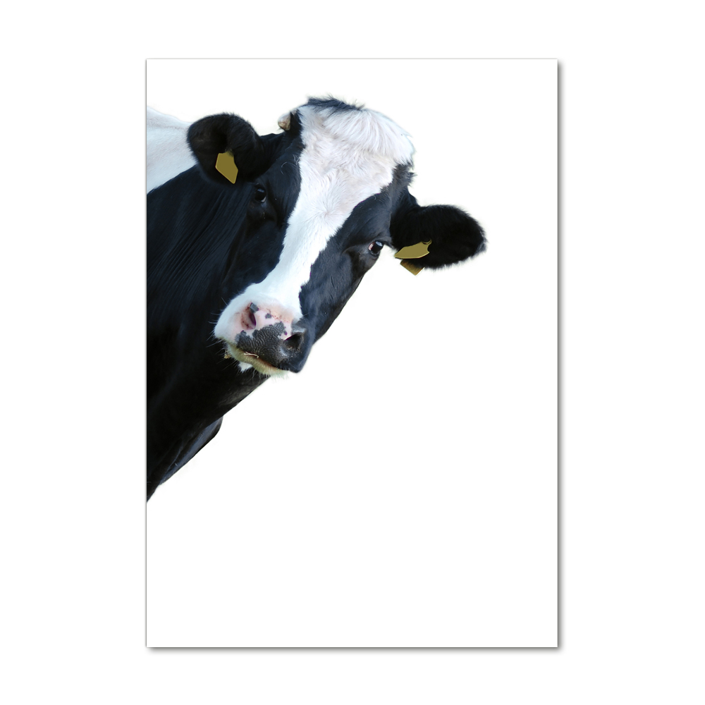 Acrylique tableau Vache latine