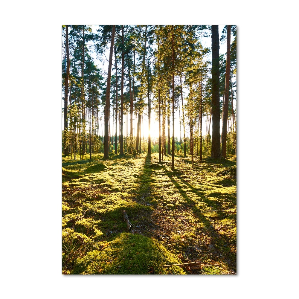 Tableau acrylique Forêt de pins