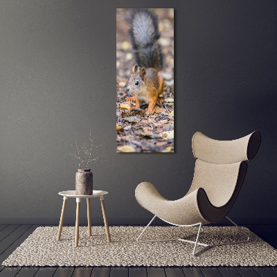 Tableau sur verre acrylique Écureuil dans la forêt