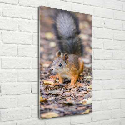 Tableau sur verre acrylique Écureuil dans la forêt