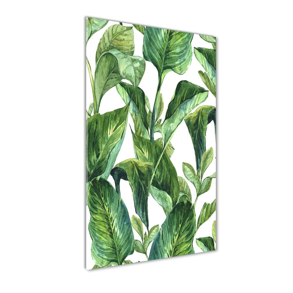 Tableau sur verre acrylique Feuilles tropicales plantes