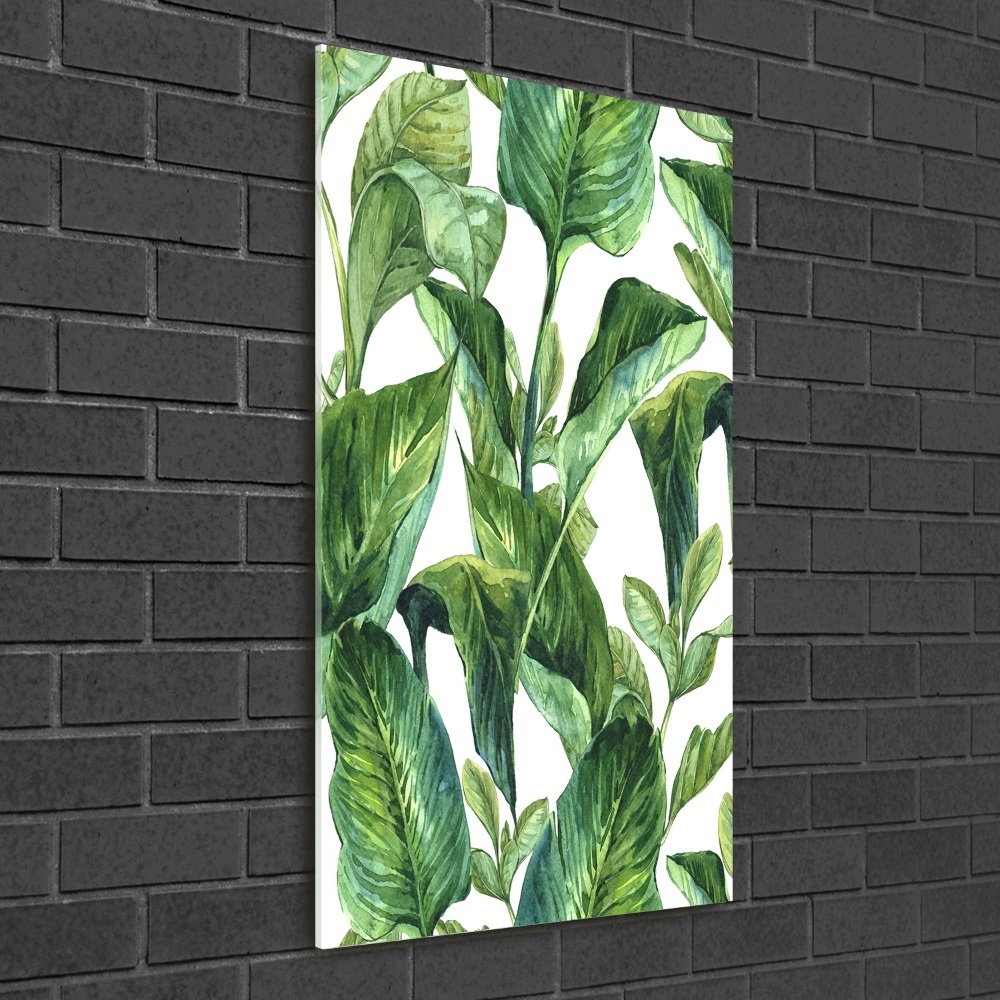 Tableau sur verre acrylique Feuilles tropicales plantes