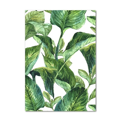 Tableau sur verre acrylique Feuilles tropicales plantes