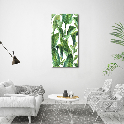 Tableau sur verre acrylique Feuilles tropicales plantes