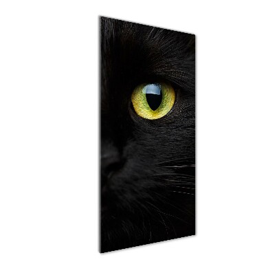 Tableau verre acrylique Les yeux du chat