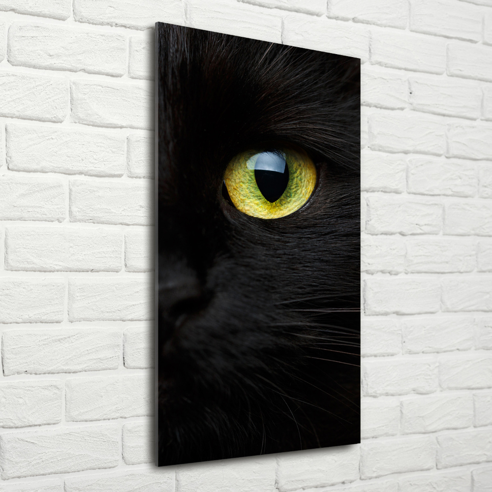 Tableau verre acrylique Les yeux du chat