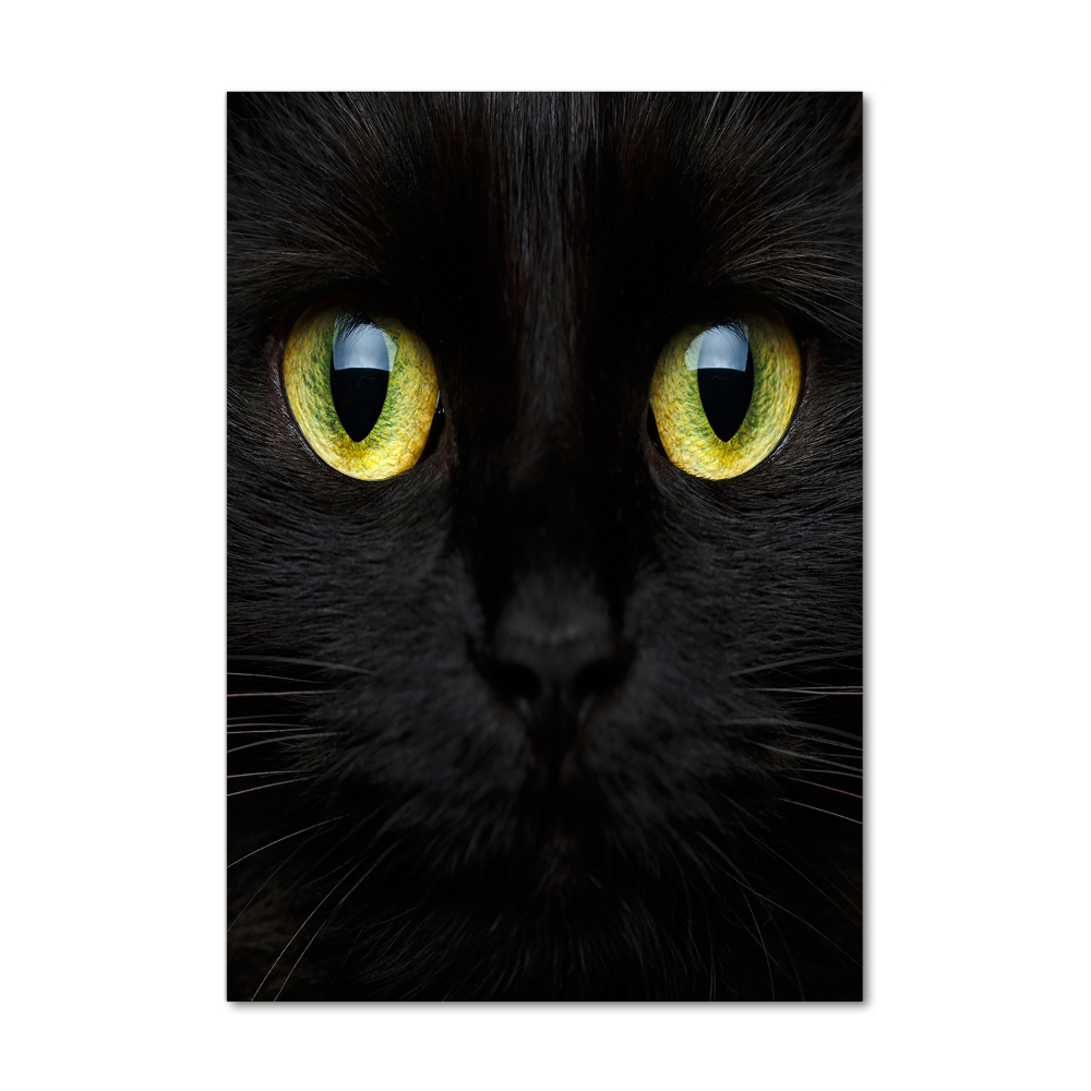 Tableau verre acrylique Les yeux du chat