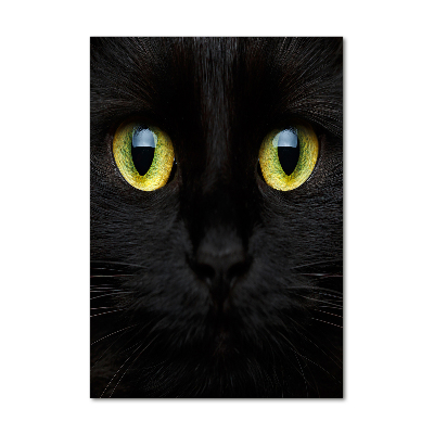 Tableau verre acrylique Les yeux du chat