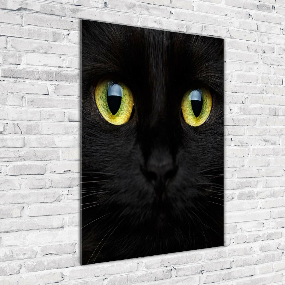 Tableau verre acrylique Les yeux du chat