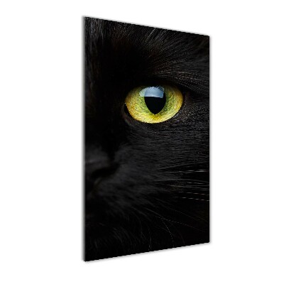 Tableau verre acrylique Les yeux du chat