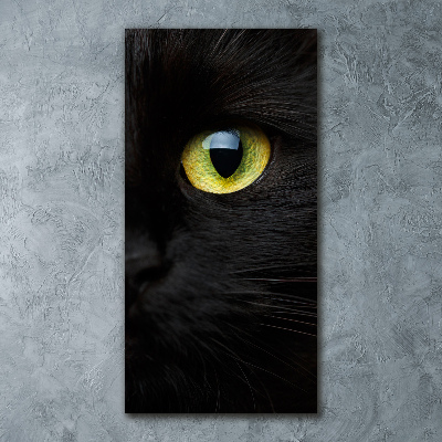 Tableau verre acrylique Les yeux du chat