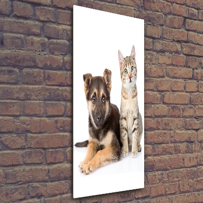 Tableau acrylique Chien et chat