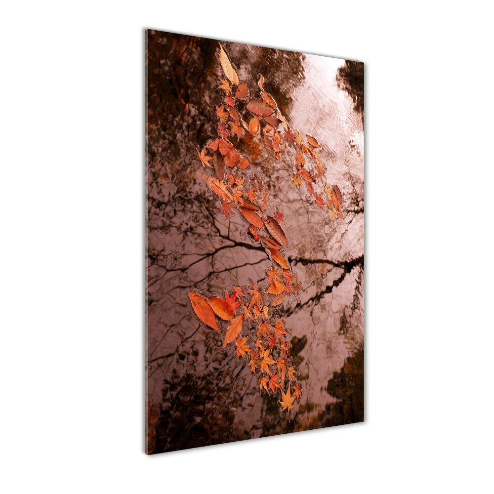 Tableau en acrylique Feuilles d'automne