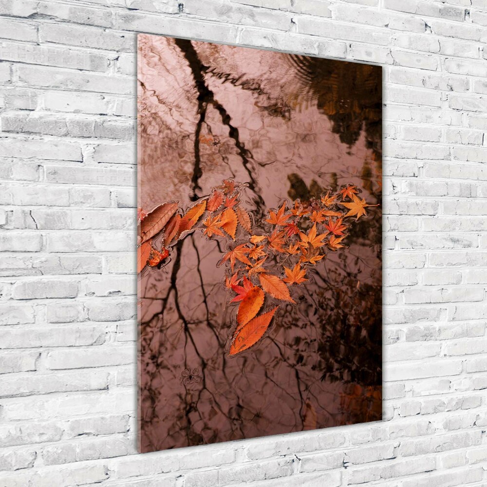 Tableau en acrylique Feuilles d'automne