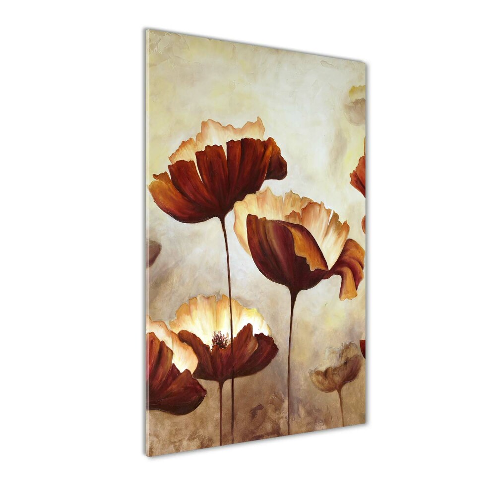 Tableau acrylique Coquelicots des champs