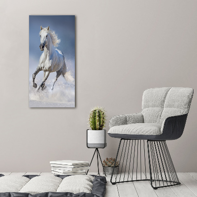 Tableau sur verre acrylique Cheval blanc au galop