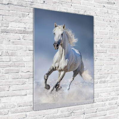 Tableau sur verre acrylique Cheval blanc au galop