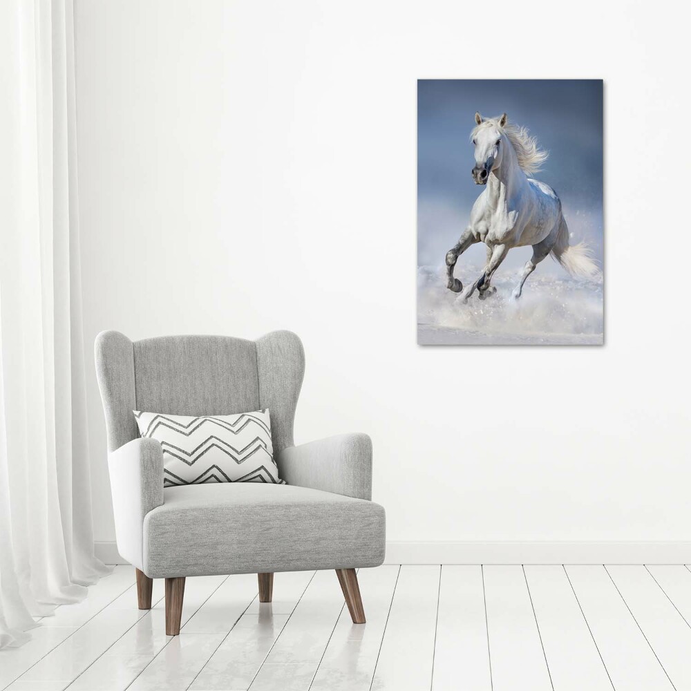 Tableau sur verre acrylique Cheval blanc au galop