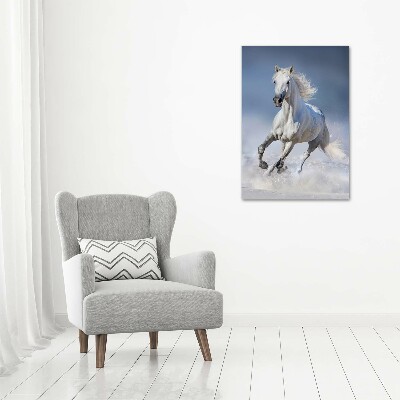 Tableau sur verre acrylique Cheval blanc au galop