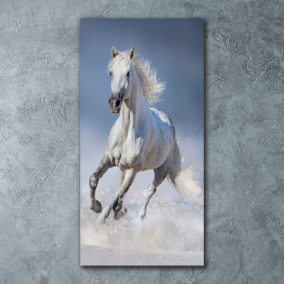 Tableau sur verre acrylique Cheval blanc au galop