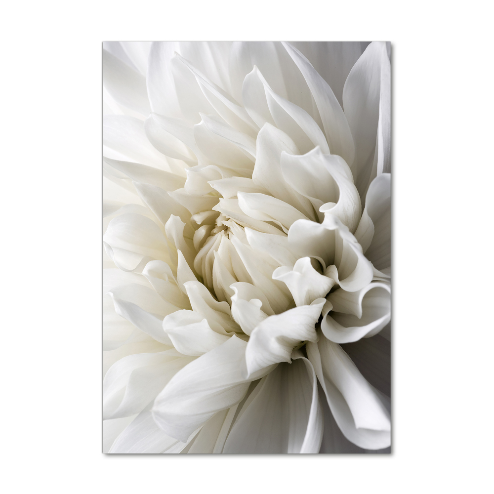 Tableau acrylique Dahlia blanc