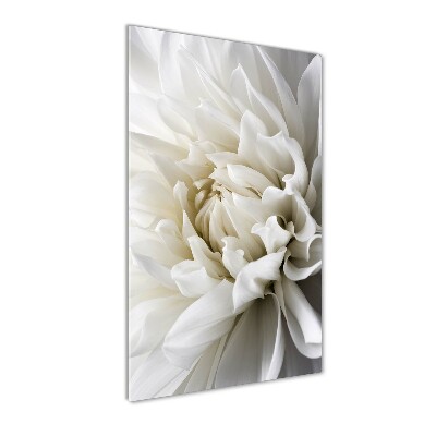 Tableau acrylique Dahlia blanc