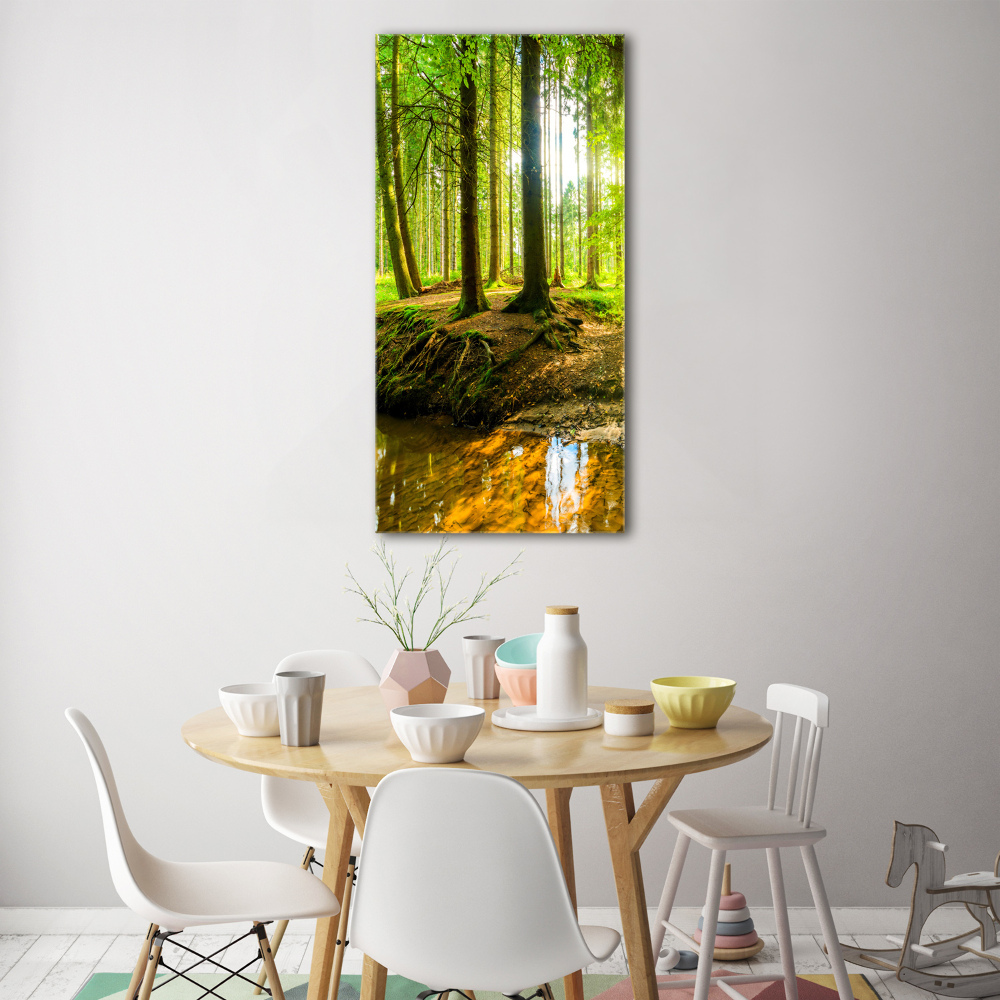 Tableau en acrylique Ruisseau dans la forêt