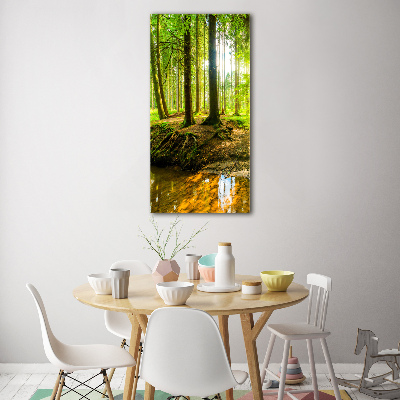 Tableau en acrylique Ruisseau dans la forêt