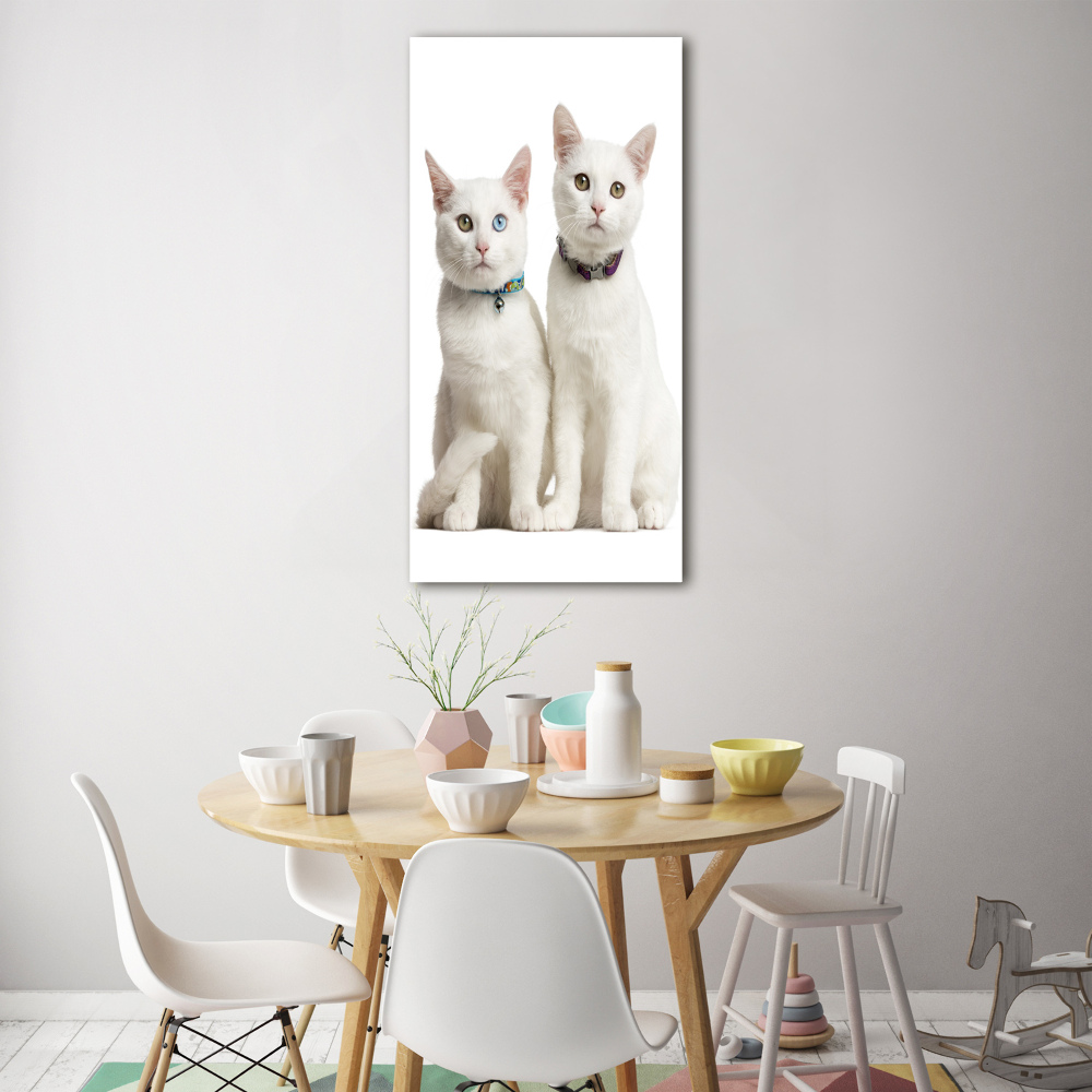 Tableau verre acrylique Deux chats blancs