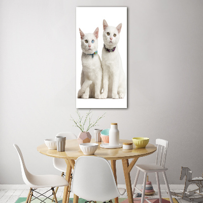 Tableau verre acrylique Deux chats blancs